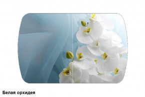 Стол Бостон 2 (1100*700) опоры Брифинг (Стекло/фотопечать Белая орхидея) в Лесном - lesnoj.germes-mebel.ru | фото